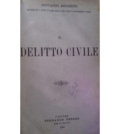Il Delitto Civile - Giovanni Brunetti