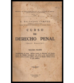 Curso de Derecho Penal Parte Especial Volume 1 - C. Salvagno Campos