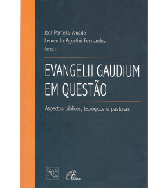 Evangelii Gaudium Em Questão Aspectos Bíblicos Teológicos e Pastorais - Joel Portella Amado