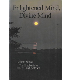  Enlightened Mind Divine Mind 