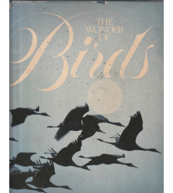 The Wonder of Birds - autor não identificado 