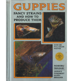 Guppies Fancy Strains and How to Produce Them