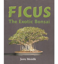 Ficus the Exotic Bonsai