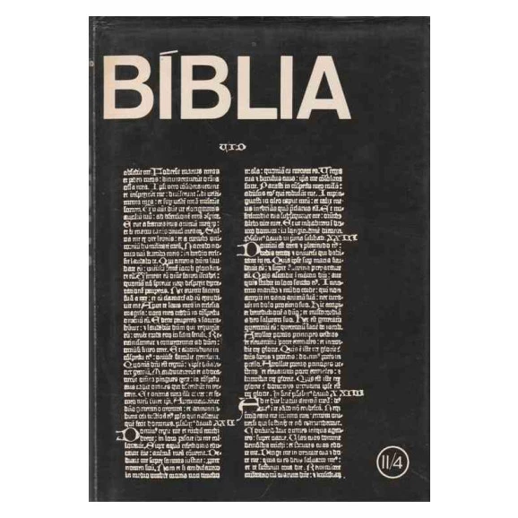 Introdução à Biblia - II /4 - os Doze Profetas / Daniel