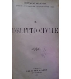 Il Delitto Civile - Giovanni Brunetti