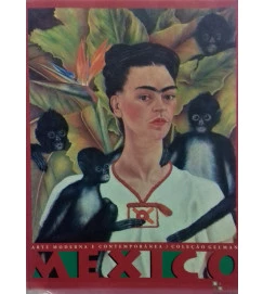 Arte Moderna e Contemporânea Coleção Gelman -  Francisco Correa