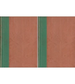 Na Luz Perpétua - 2 Volumes