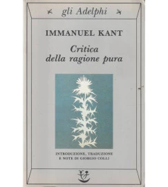 Critica Della Ragione Pura