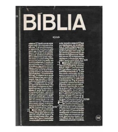 Introdução à Biblia - Volume IV os Evangelios