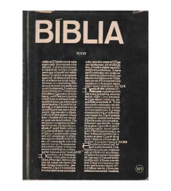Introdução à Biblia - V/1 Atos dos Apóstolos, São Paulo e as Epistolas