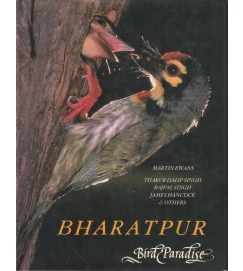 Bharatpur