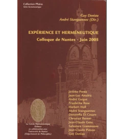 Experience et Hermeneutique