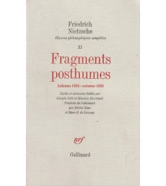 Fragments Posthumes XI
