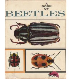 A Book of Beetles