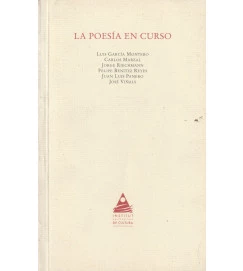 La Poesia En Curso