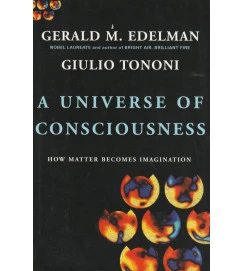 A Universe of Consciousness