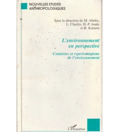 L Environnement En Perspective