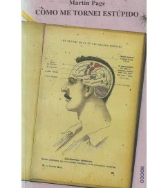 Como Me Tornei Estúpido