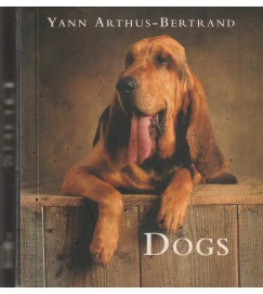 Dogs