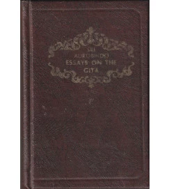 Essays on the Gita