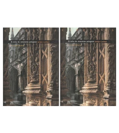 As Rochas dos Monumentos Portugueses Tipologias e Patologias 2 Vols
