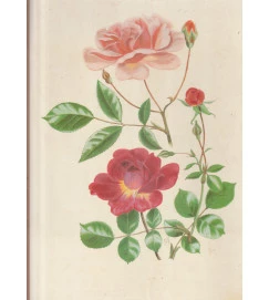 The Complete Flower Paintings and Drawings of Graham Stuart Thomas