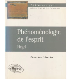 Phénoménologie de L Esprit - Hegel