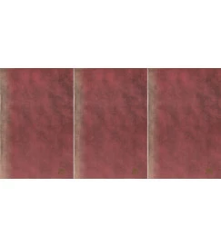 O Novo Dicionário da Bíblia 3 Volumes