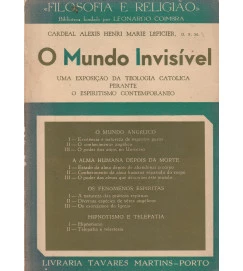 O Mundo Invisivel
