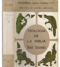 Teologia de La Biblia Nuevo Testamento - Volume II