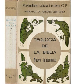 Teologia de La Biblia Nuevo Testamento - Volume III