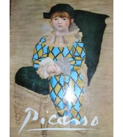 Picasso - Fernanda Wittgens